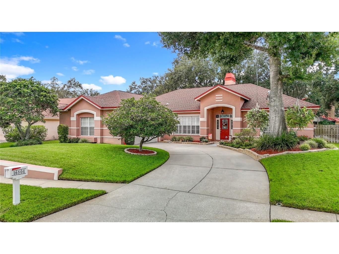 16804 Woburn Lane Lutz FL 33549 TB8412220 image68