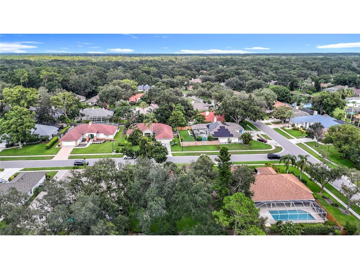 16804 Woburn Lane Lutz FL 33549 TB8412220 image87