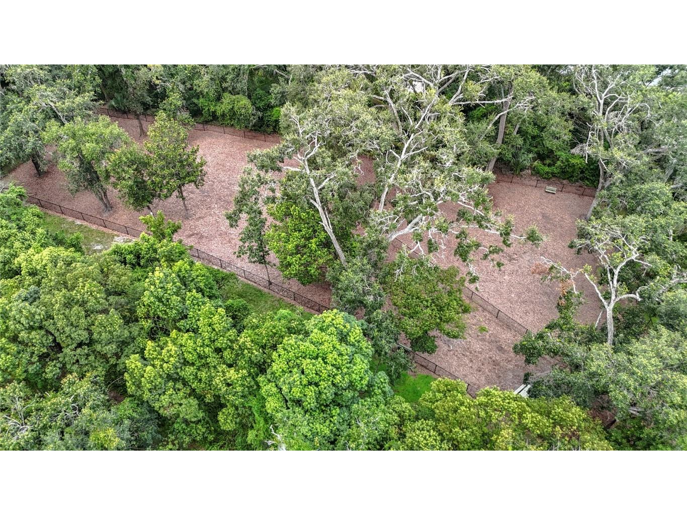 16804 Woburn Lane Lutz FL 33549 TB8412220 image89