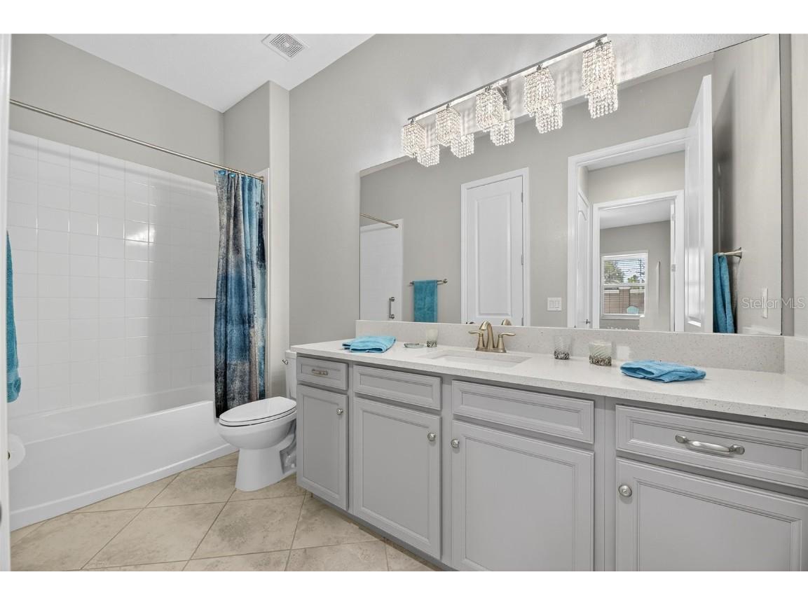 16805 Banner Shell Place Wimauma FL 33598 TB8432225 image46