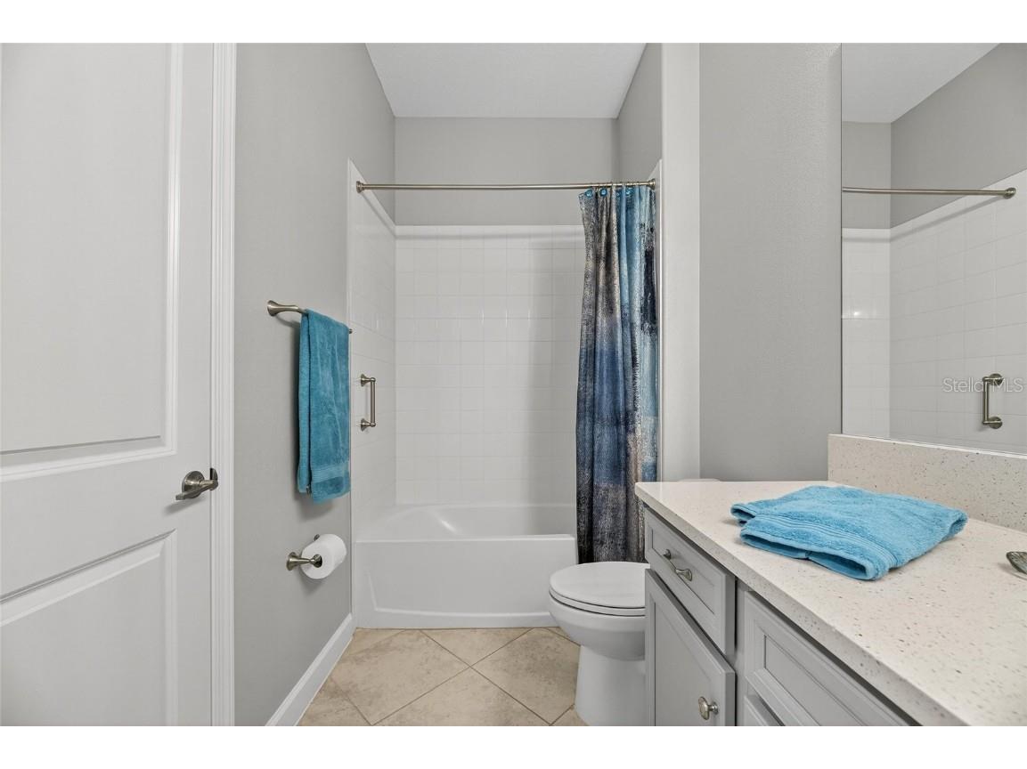 16805 Banner Shell Place Wimauma FL 33598 TB8432225 image47