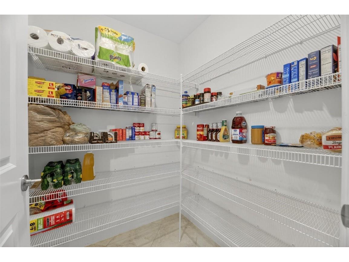 16805 Banner Shell Place Wimauma FL 33598 TB8432225 image51