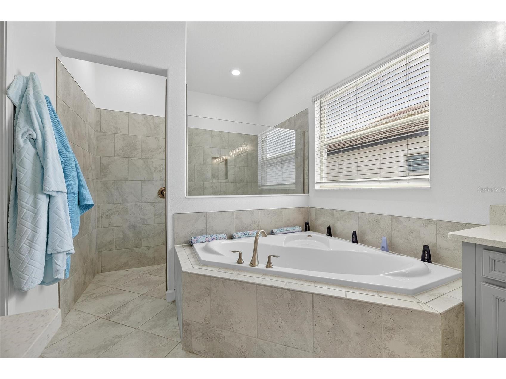 16805 Banner Shell Place Wimauma FL 33598 TB8482544 image22