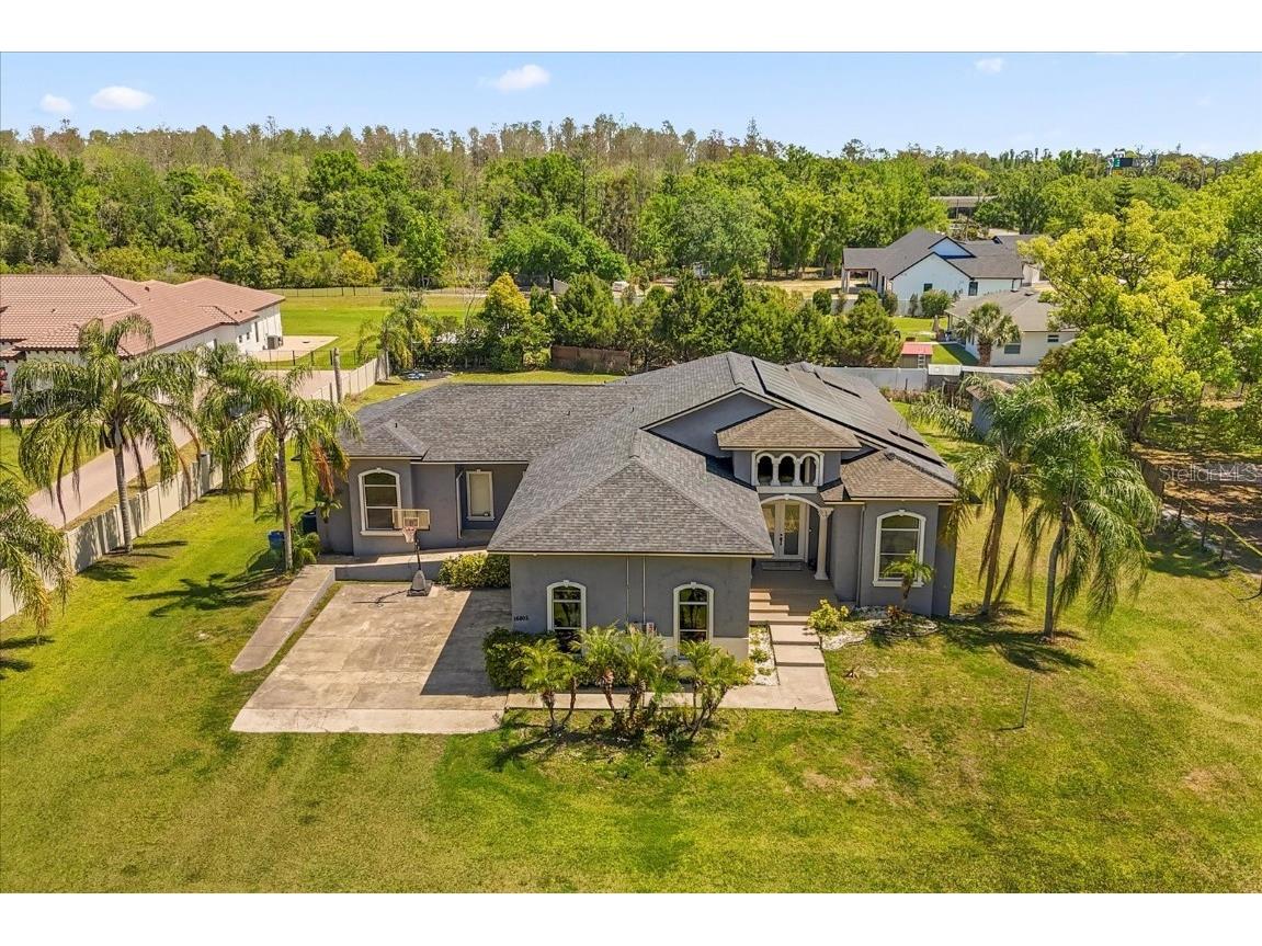16805 Tobacco Road Lutz FL 33558 O6297899 image1
