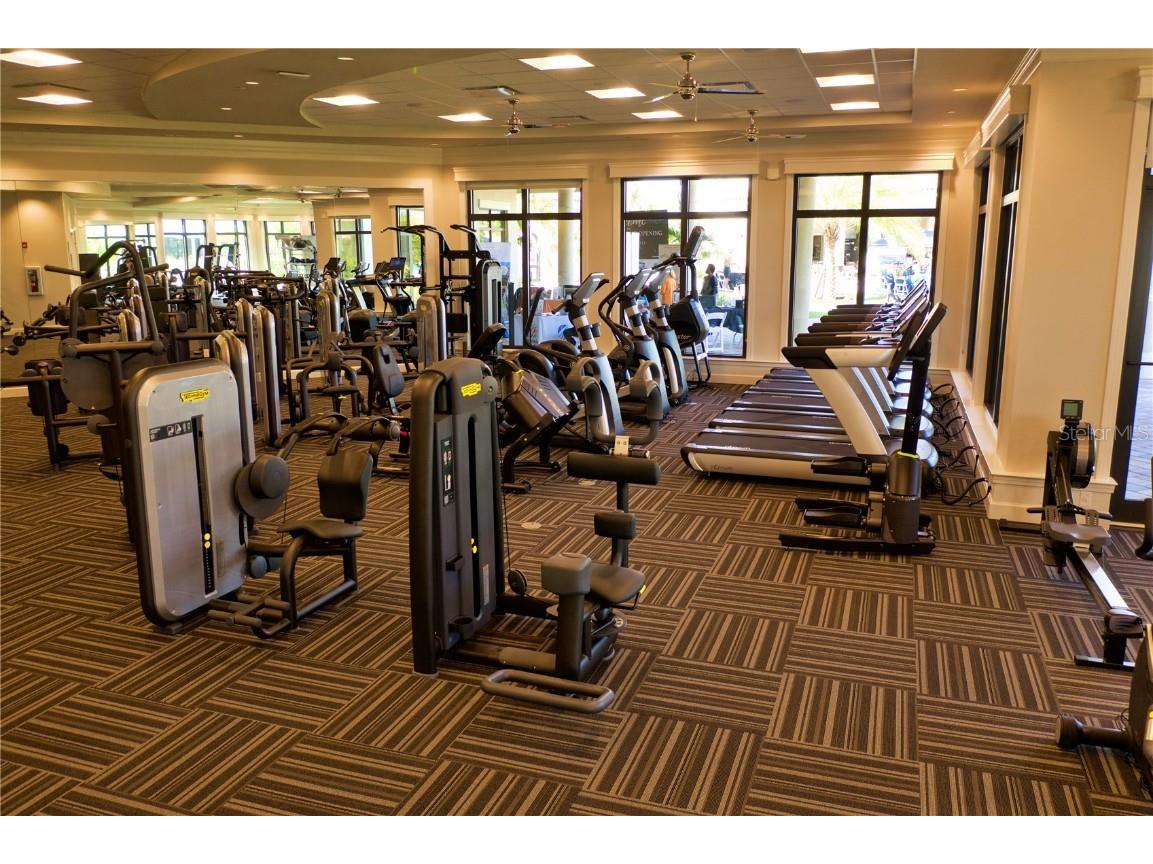 16808 Bwana Place Bradenton FL 34211 A4656182 image59