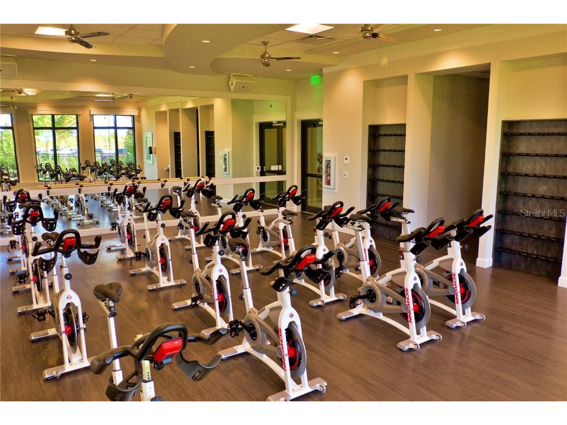 16808 Bwana Place Bradenton FL 34211 A4656182 image60