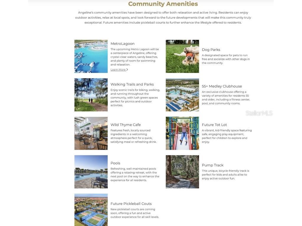 16808 Forge Surf Street Land O Lakes FL 34638 TB8446133 image12