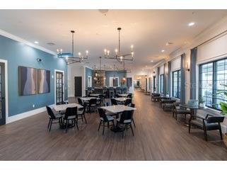 16808 Forge Surf Street Land O Lakes FL 34638 TB8446133 image7