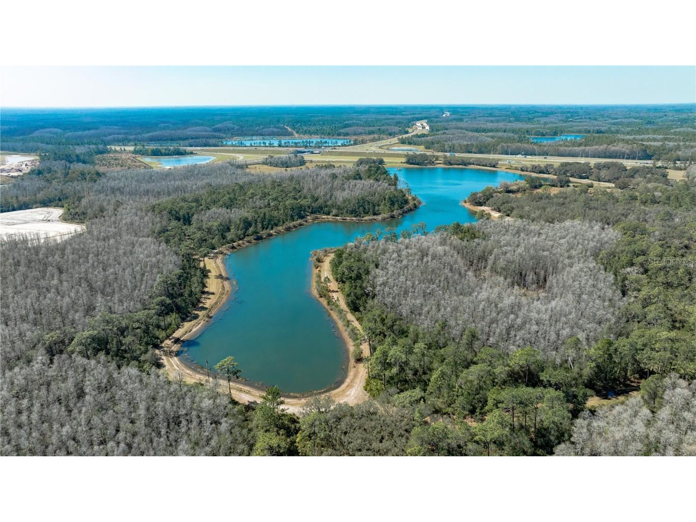 16808 Forge Surf Street Land O Lakes FL 34638 TB8446133 image8