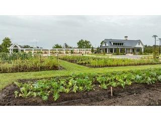 16808 Forge Surf Street Land O Lakes FL 34638 TB8446133 image9