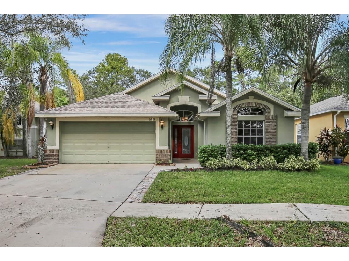 16808 Hawkglen Place Lithia FL 33547 T3482866 image1