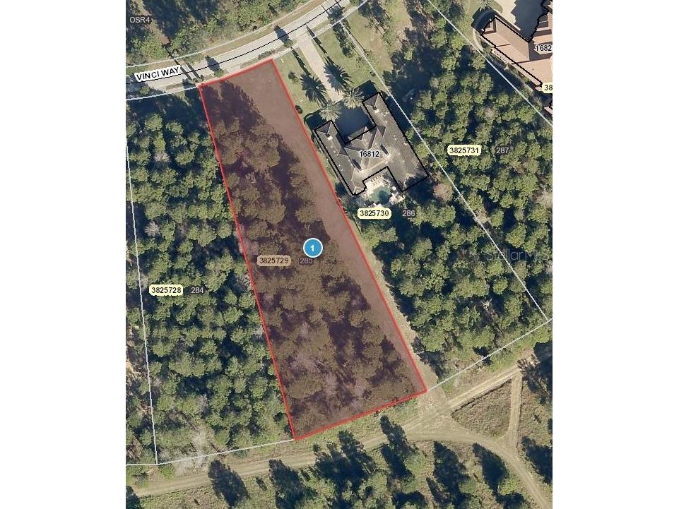 16808 Vinci Way Montverde FL 34756 - LAKE SIENA G5067477 image1