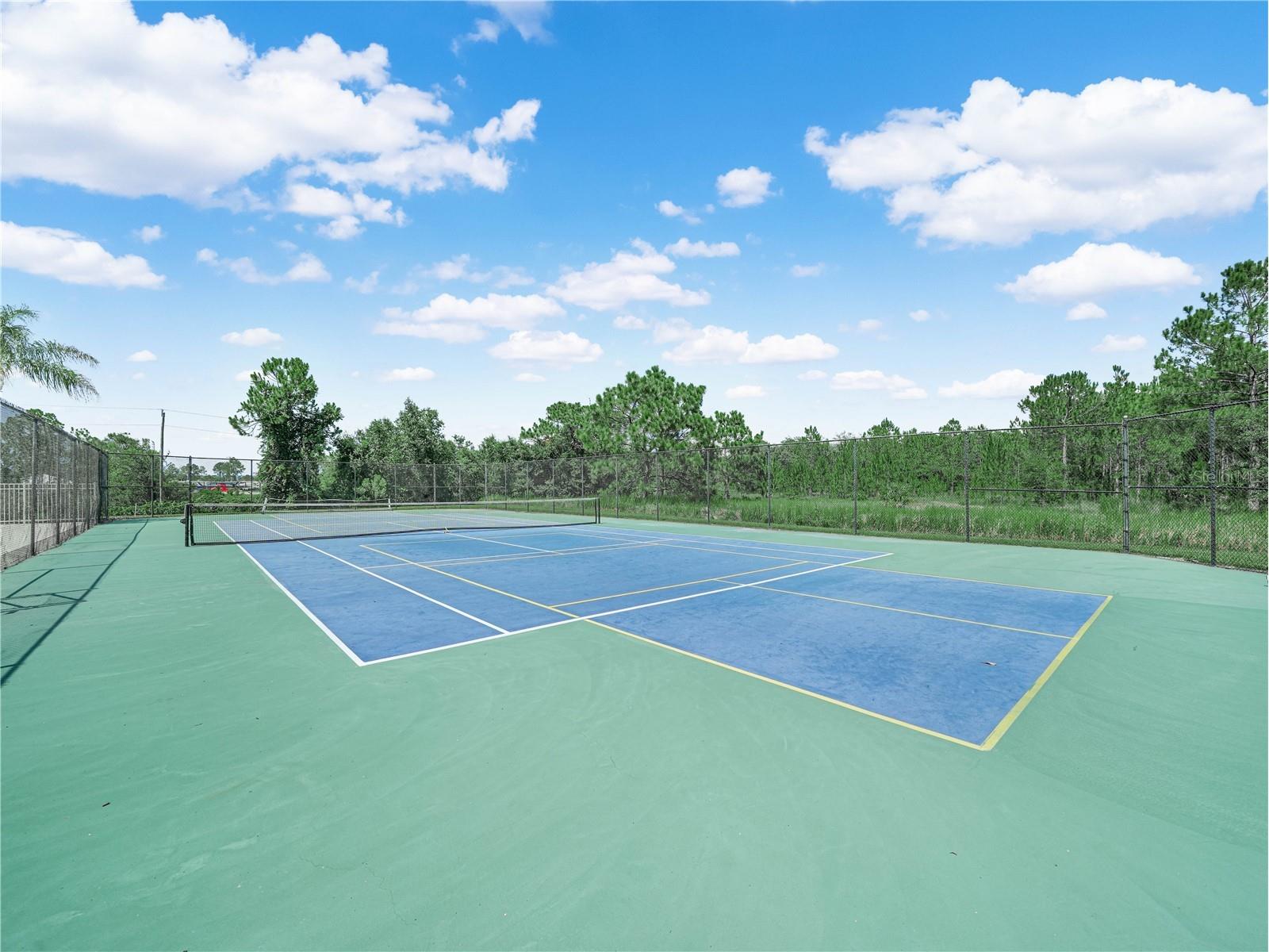 16809 Glenbrook Boulevard Clermont FL 34714 L4963308 image40