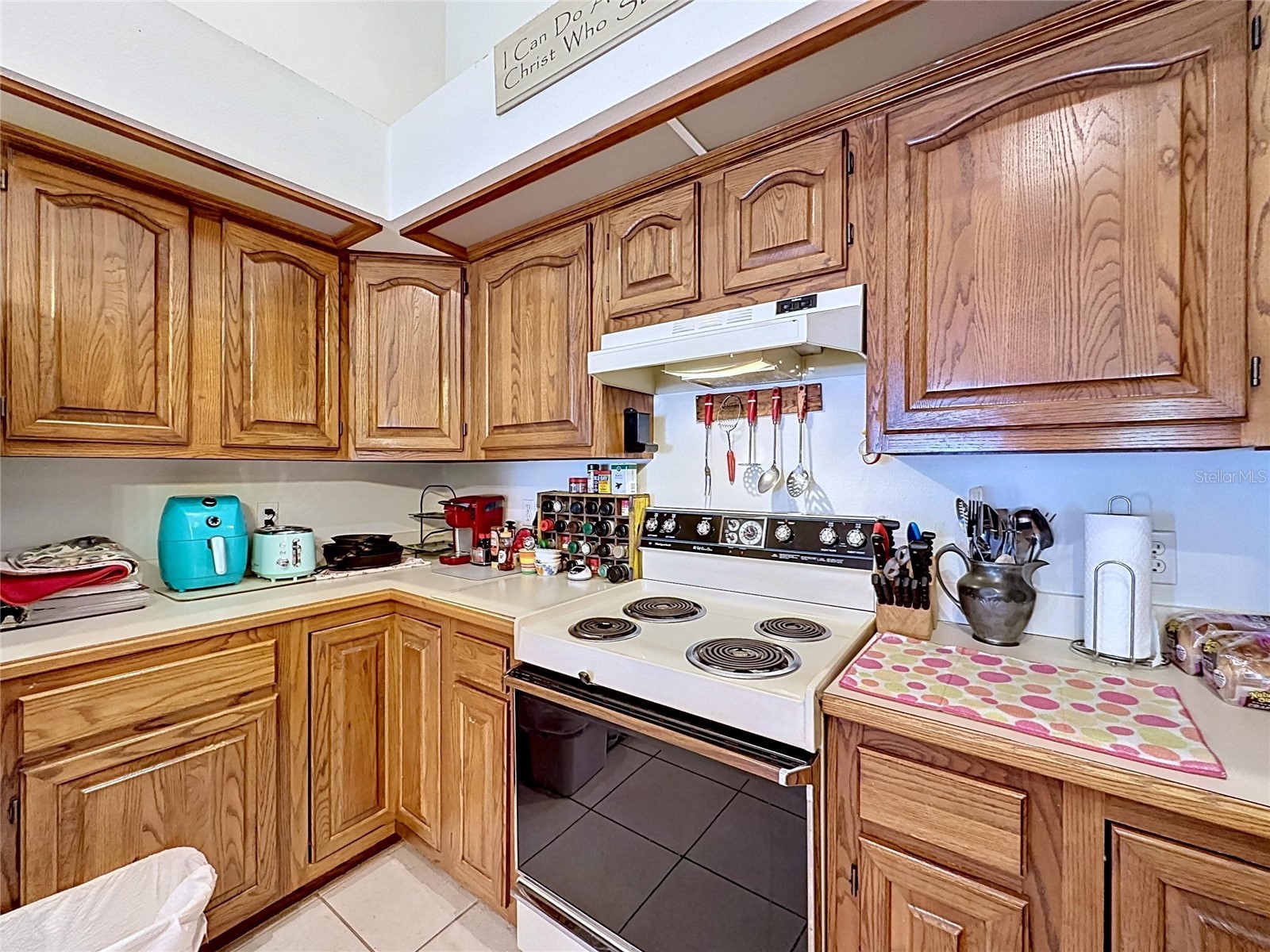 1681 E Spring Ridge Circle Winter Garden FL 34787 B4902258 image17