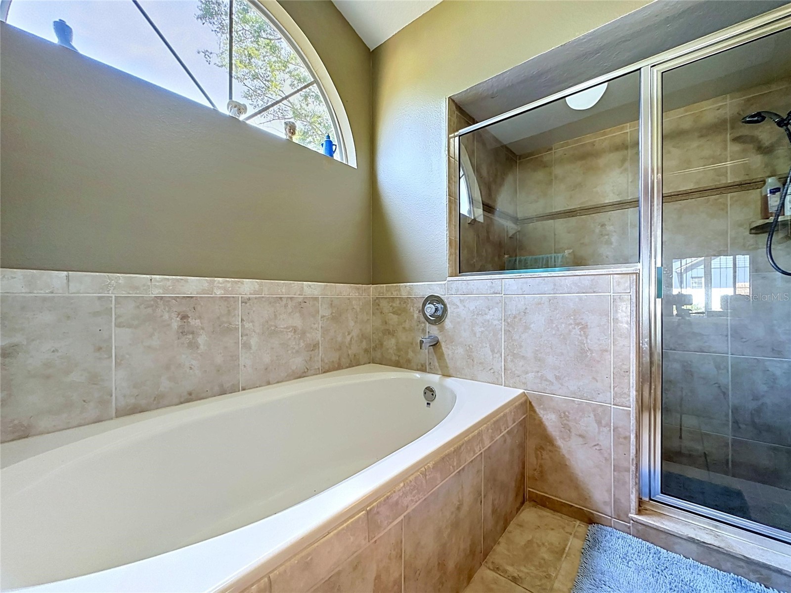 1681 E Spring Ridge Circle Winter Garden FL 34787 B4902258 image34