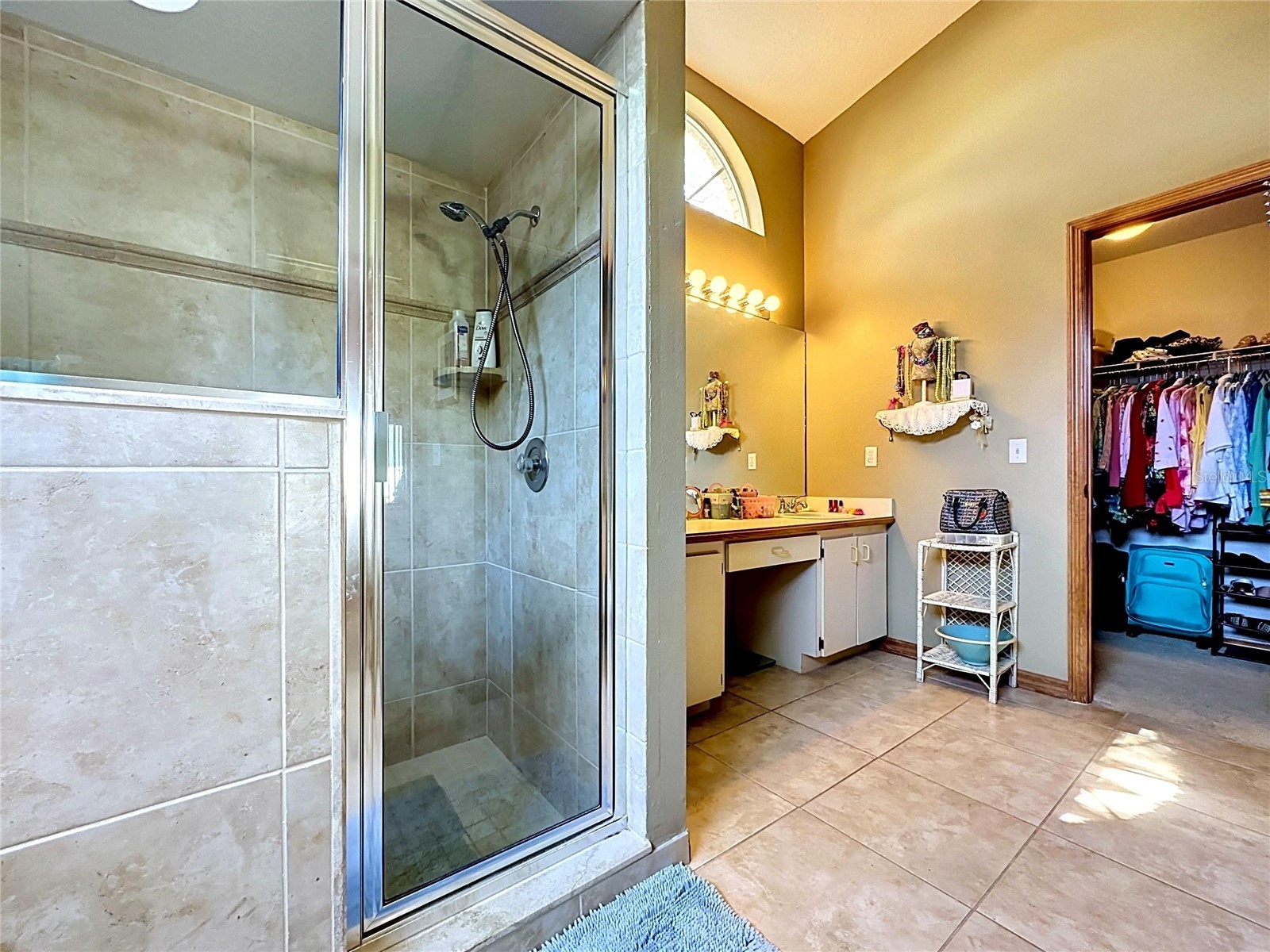 1681 E Spring Ridge Circle Winter Garden FL 34787 B4902258 image35