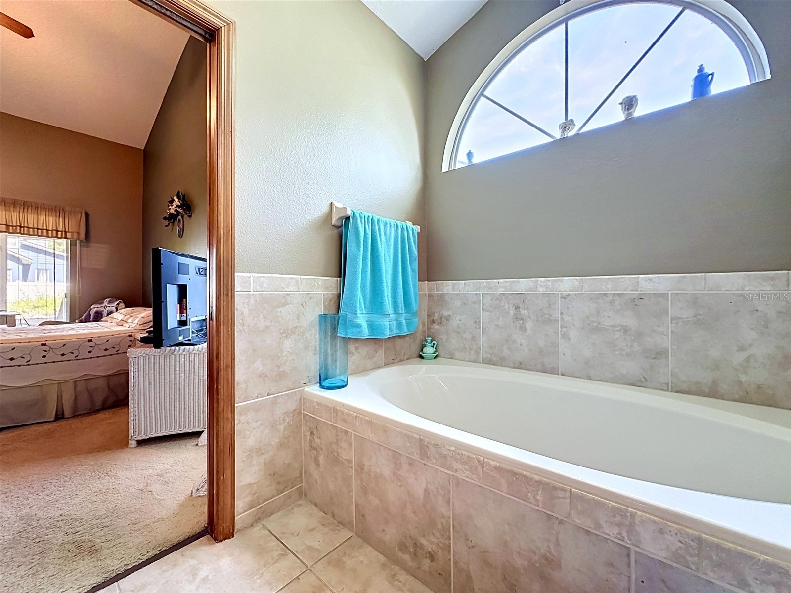 1681 E Spring Ridge Circle Winter Garden FL 34787 B4902258 image36
