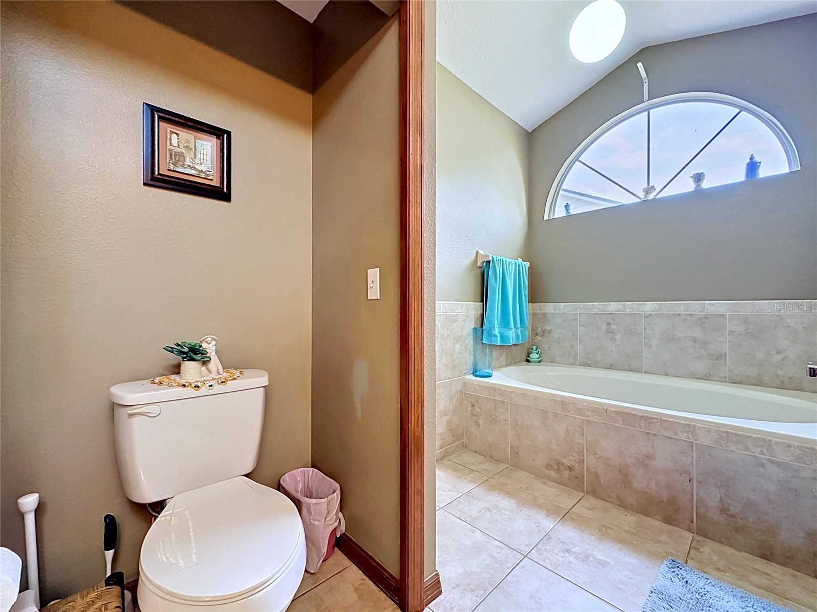 1681 E Spring Ridge Circle Winter Garden FL 34787 B4902258 image37