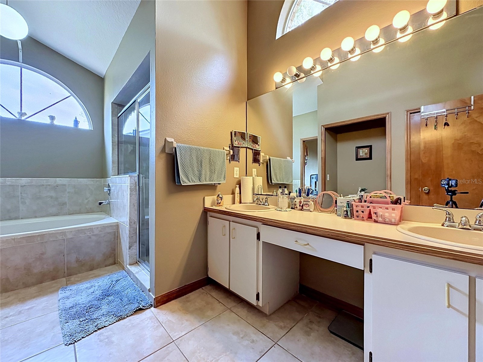 1681 E Spring Ridge Circle Winter Garden FL 34787 B4902258 image38