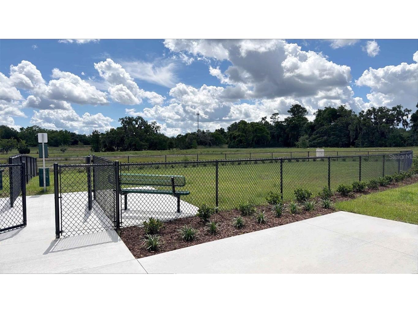 1681 NW 128th Terrace Newberry FL 32669 OM714878 image33