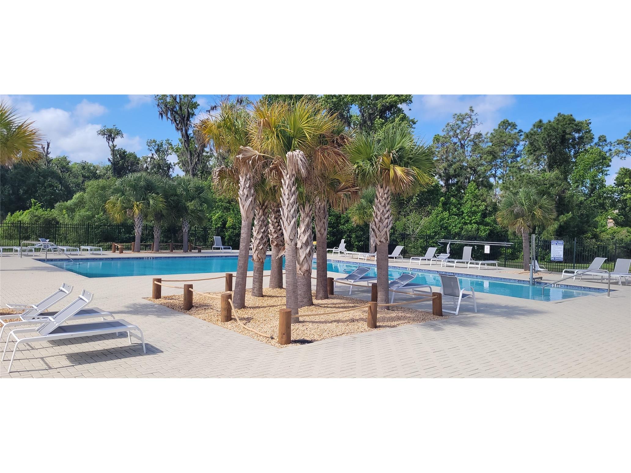 1681 Red Loop Lakeland FL 33801 TB8496721 image3