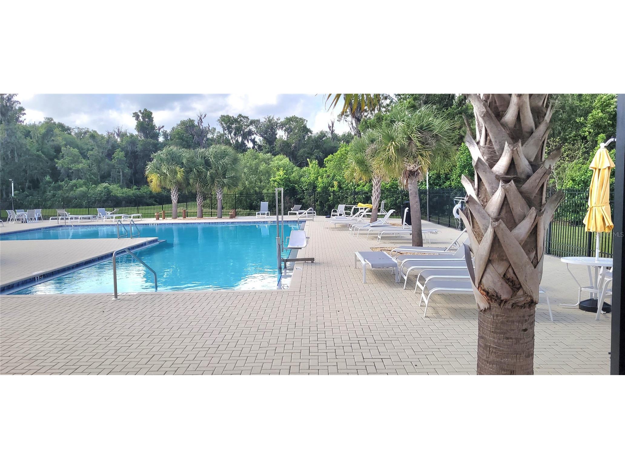 1681 Red Loop Lakeland FL 33801 TB8496721 image37