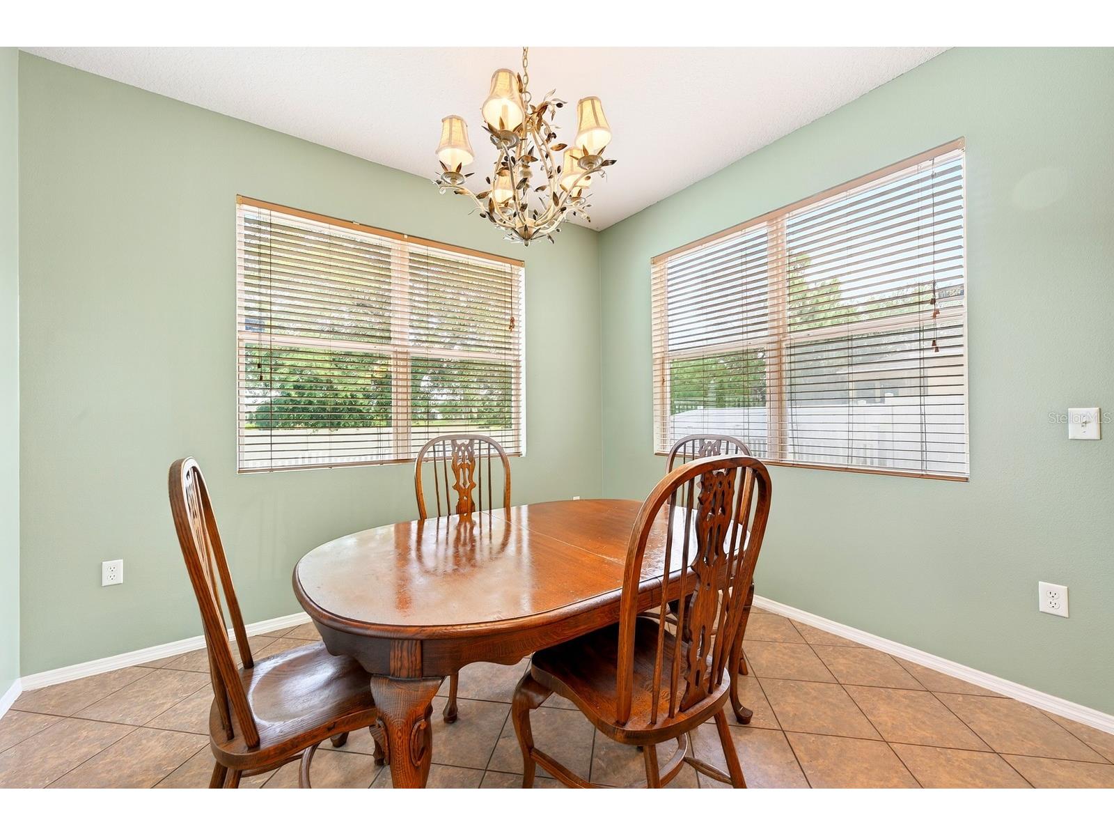 1681 Strathmore Circle Mount Dora FL 32757 O6403094 image16