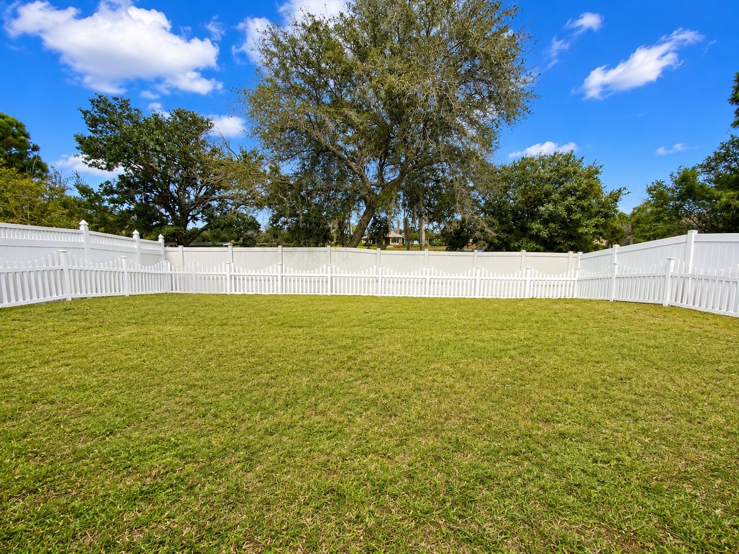 1681 Strathmore Circle Mount Dora FL 32757 O6403094 image5