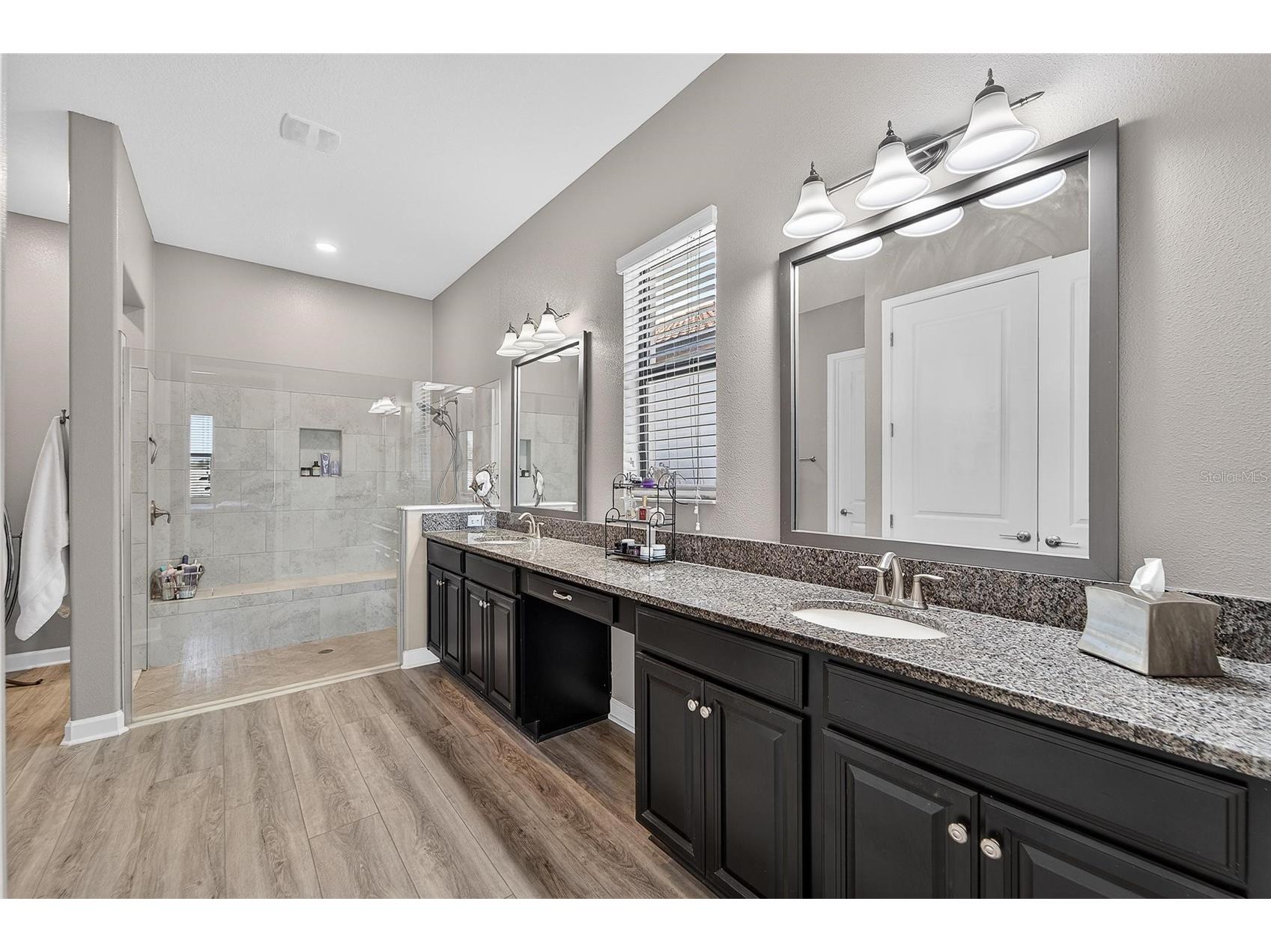 16810 Scuba Crest Street Wimauma FL 33598 TB8473913 image31