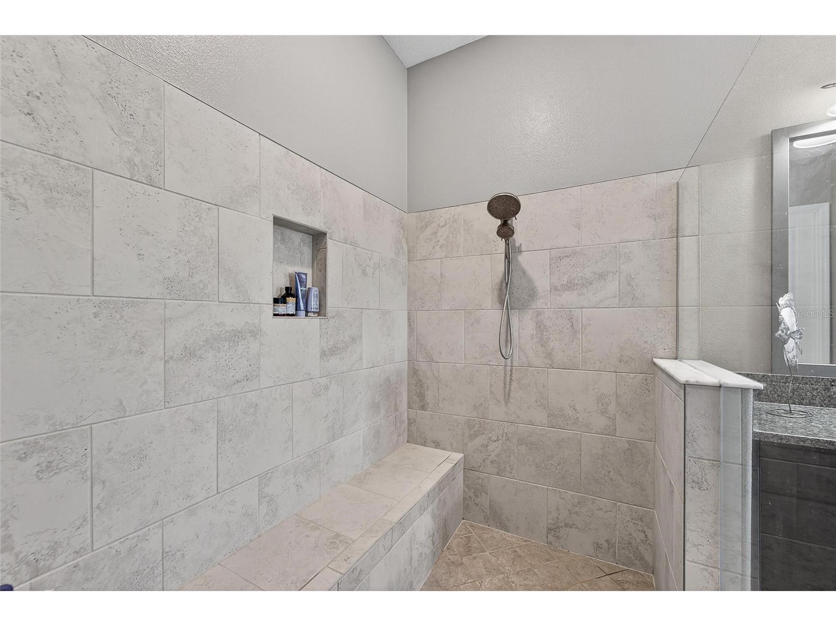 16810 Scuba Crest Street Wimauma FL 33598 TB8473913 image34