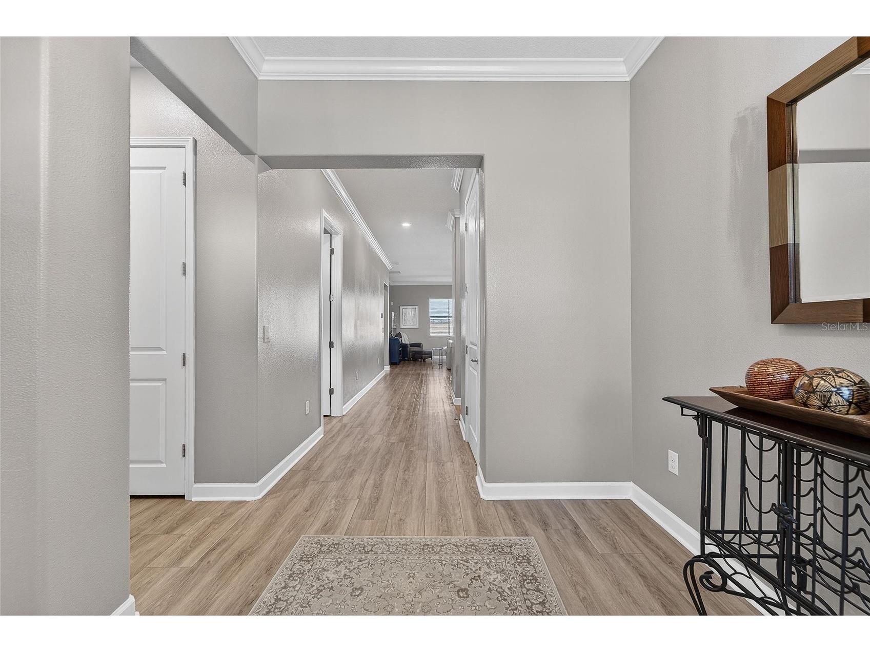 16810 Scuba Crest Street Wimauma FL 33598 TB8473913 image52