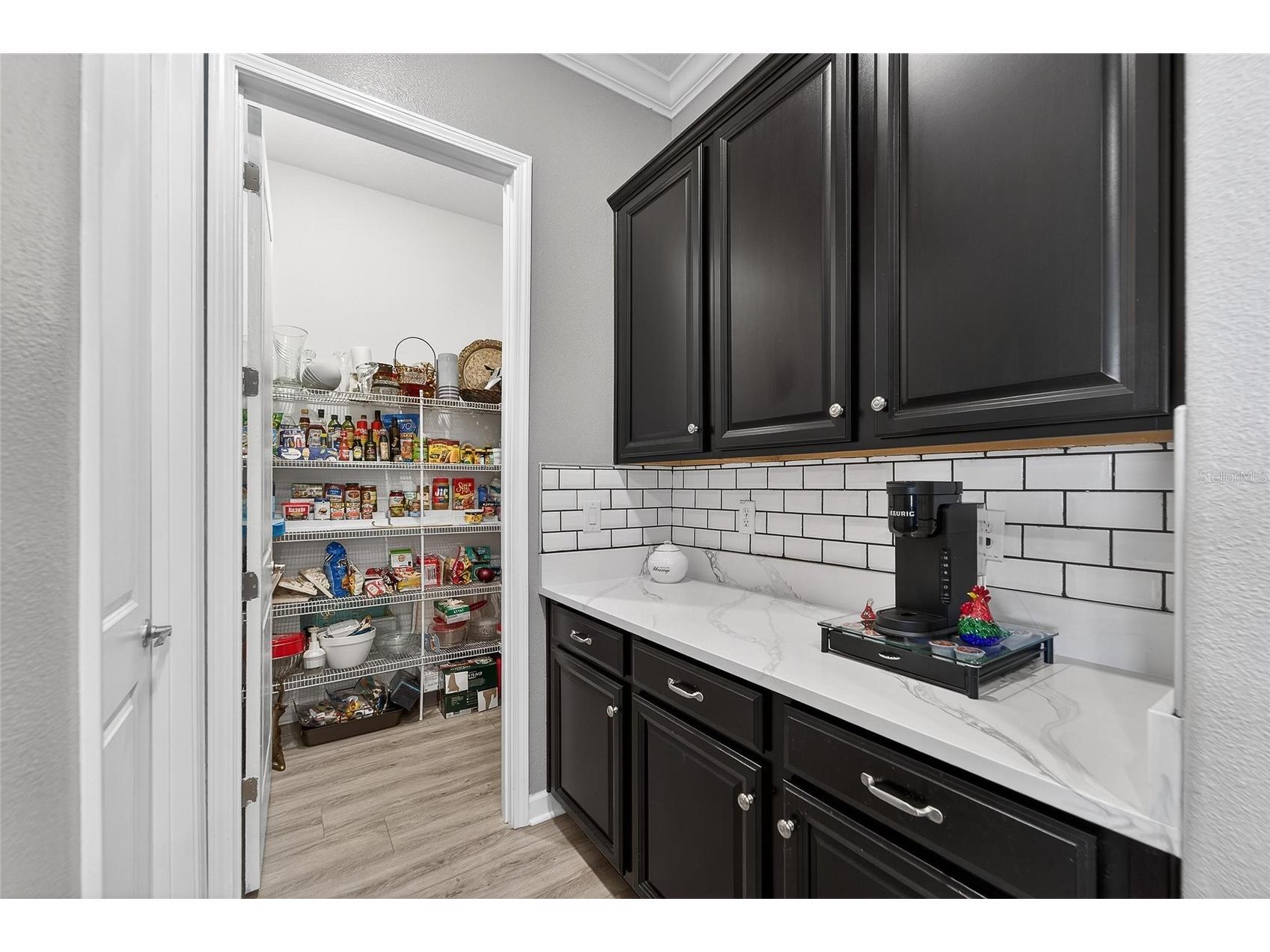 16810 Scuba Crest Street Wimauma FL 33598 TB8473913 image62