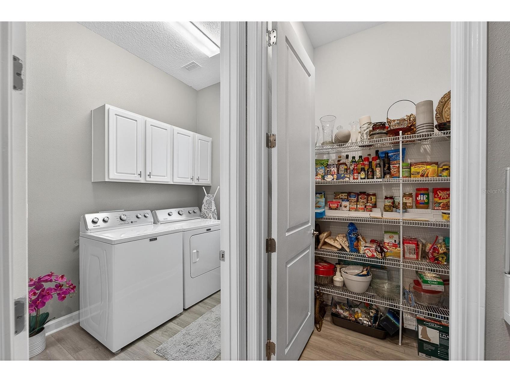 16810 Scuba Crest Street Wimauma FL 33598 TB8473913 image63