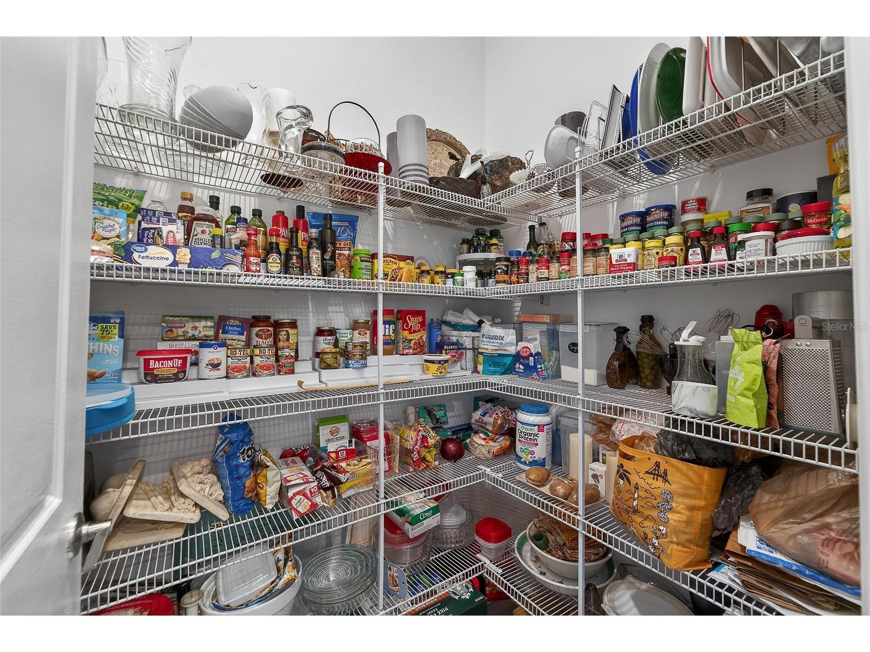 16810 Scuba Crest Street Wimauma FL 33598 TB8473913 image65