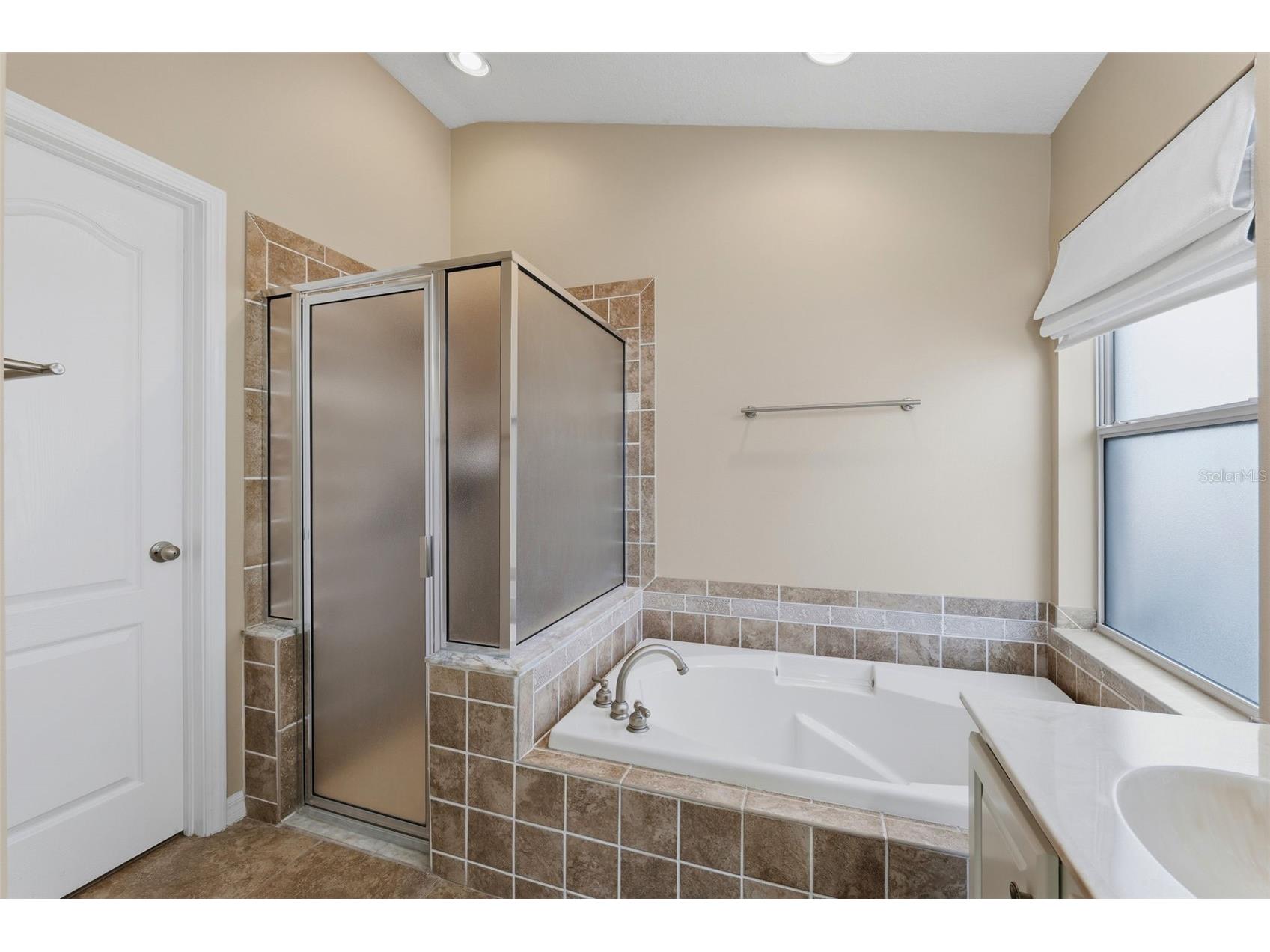 16810 Taylow Way Odessa FL 33556 TB8482064 image19