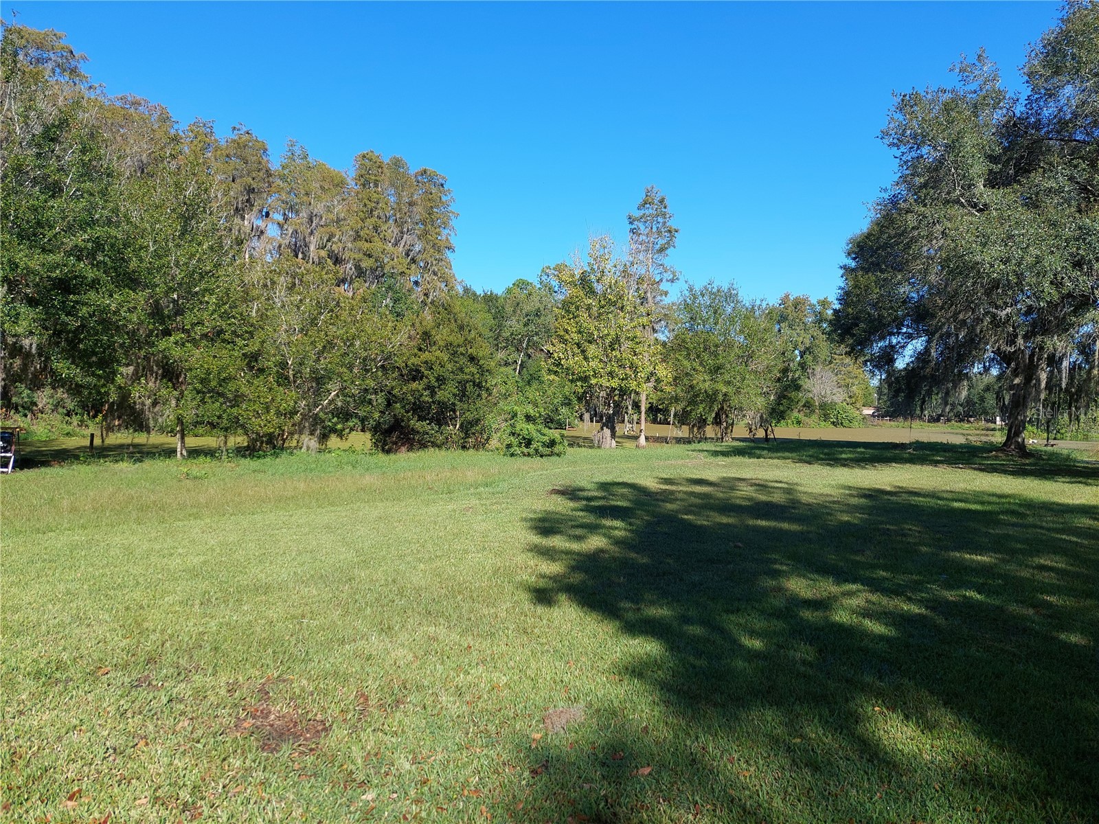 16810 Whirley Road Lutz FL 33558 TB8490891 image10