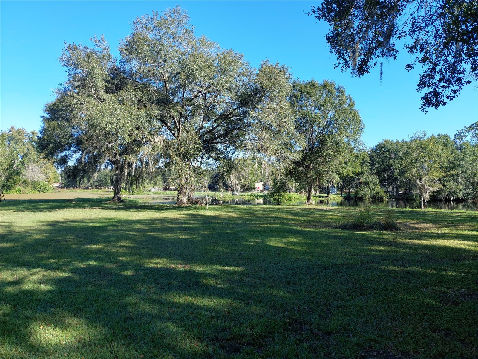 16810 Whirley Road Lutz FL 33558 TB8490891 image14