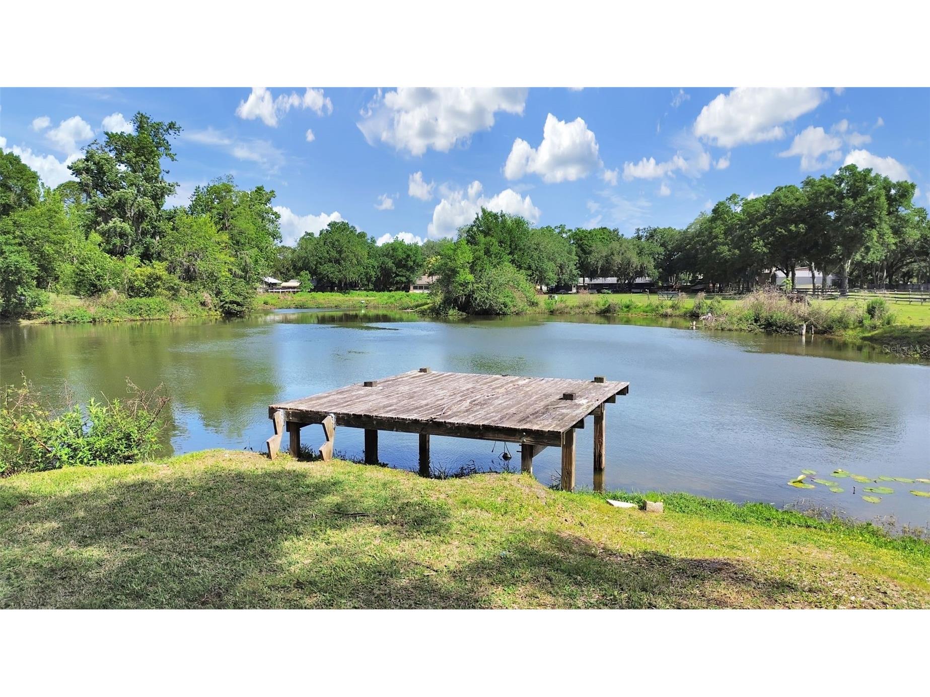 16810 Whirley Road Lutz FL 33558 TB8490891 image18