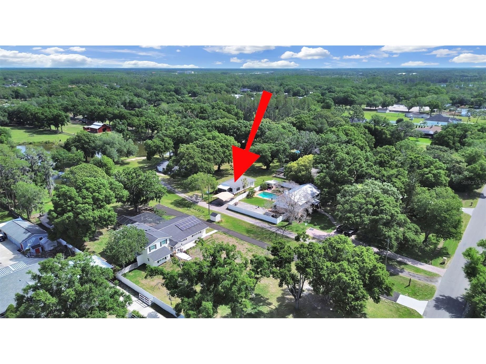 16810 Whirley Road Lutz FL 33558 TB8490891 image20