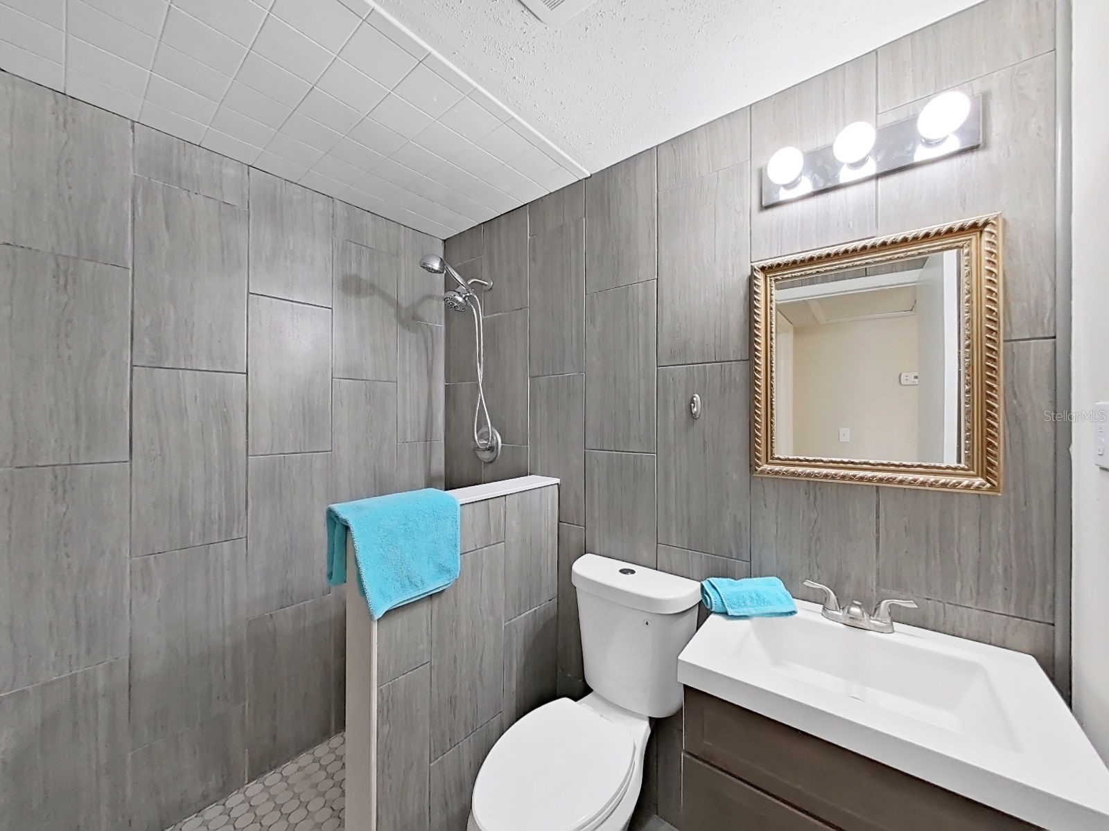 16810 Whirley Road Lutz FL 33558 TB8490891 image37