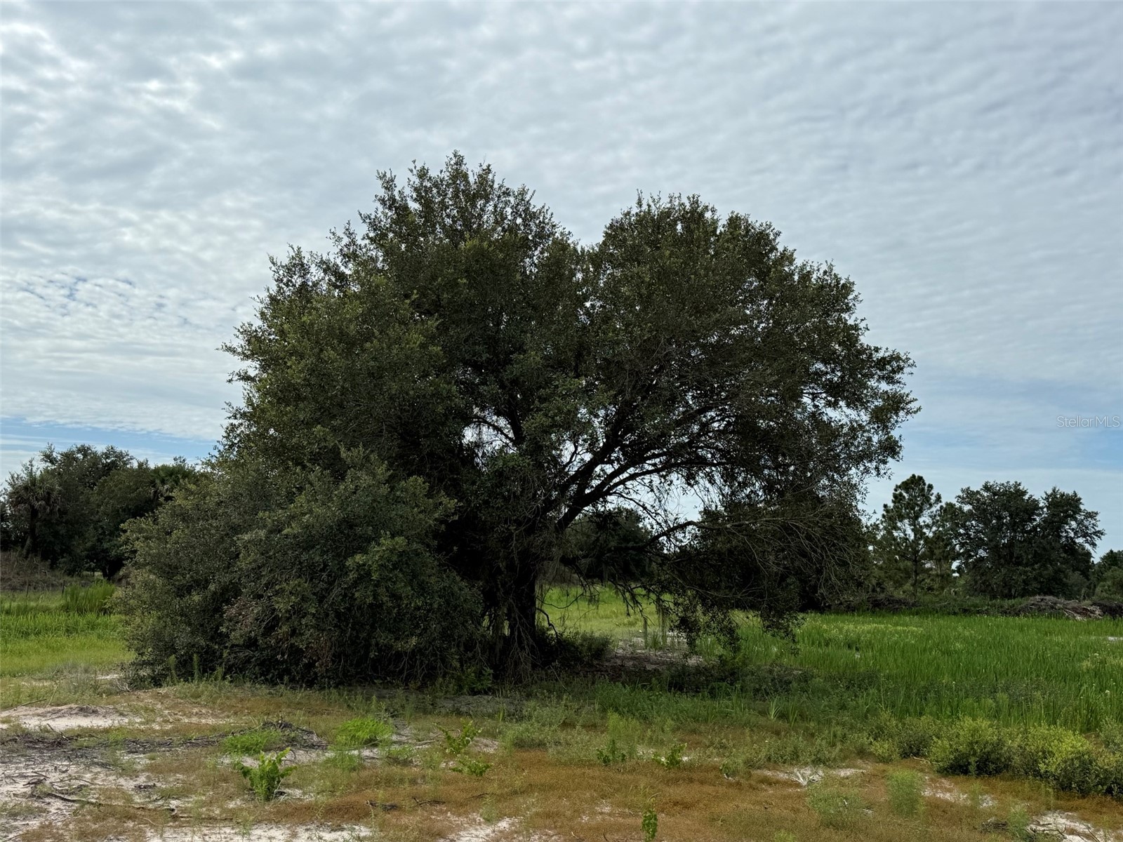 16814 NW 296th Street Okeechobee FL 34972 K4903380 image2