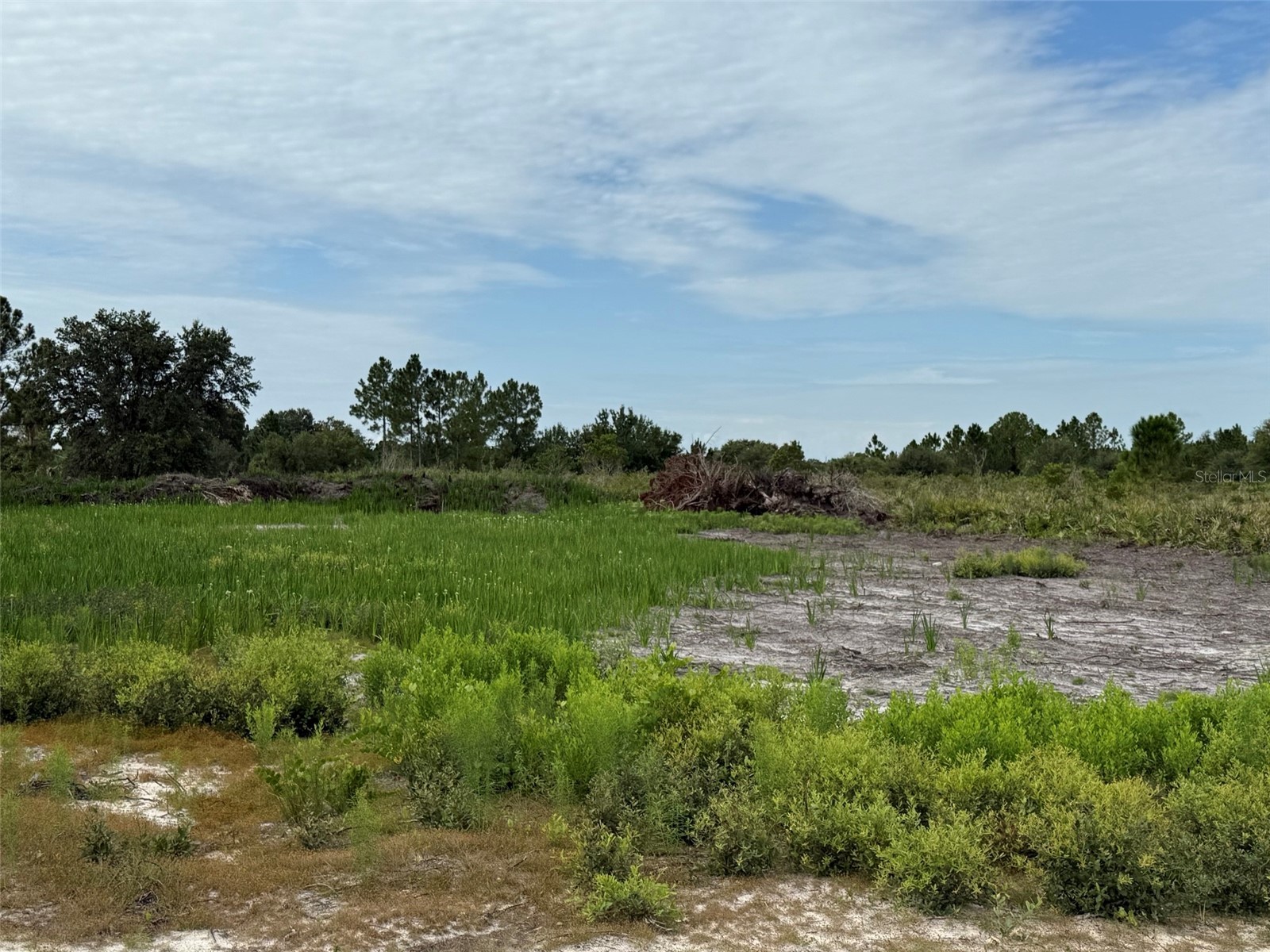 16814 NW 296th Street Okeechobee FL 34972 K4903380 image3