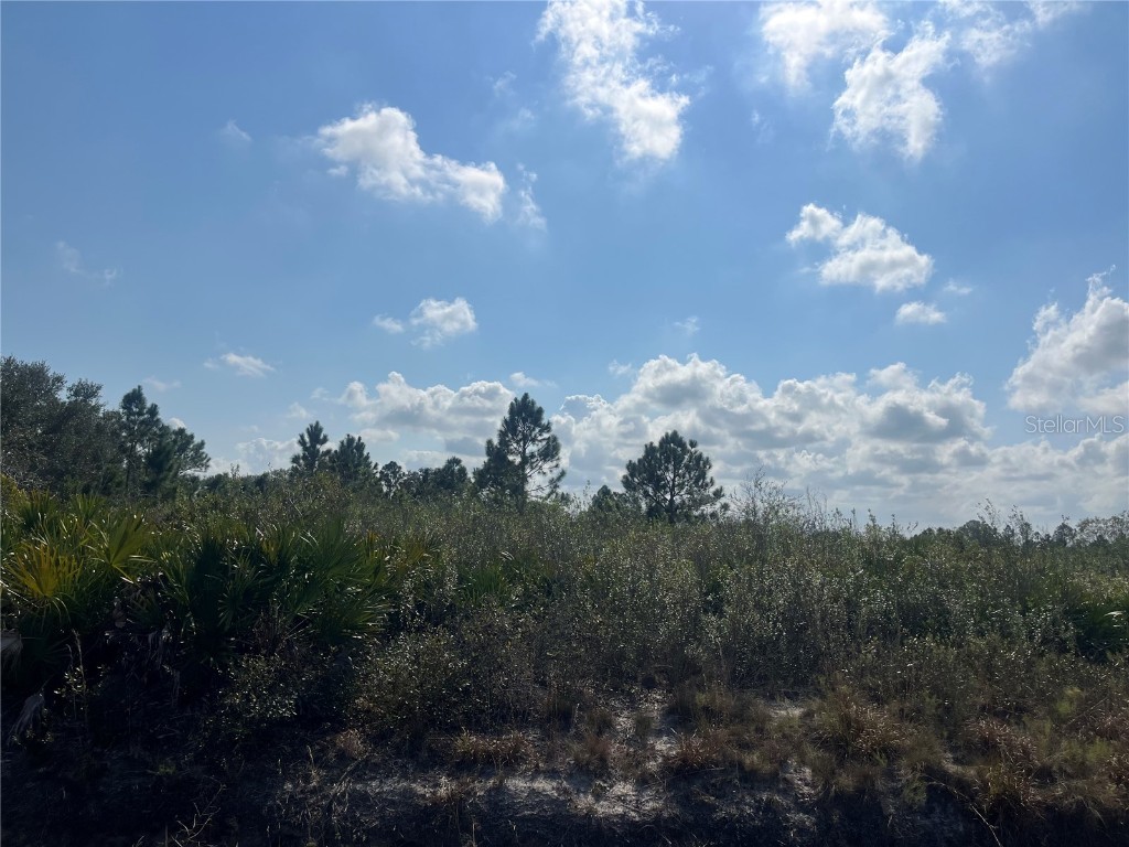 16814 NW 296th Street Okeechobee FL 34972 OK224899 image1