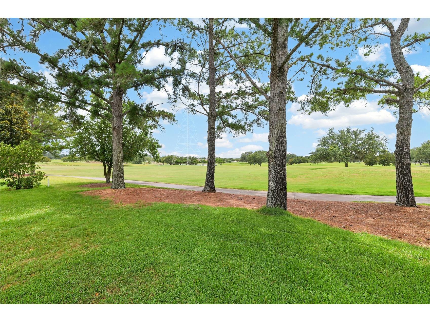 16815 SE 85th Belknap Avenue The Villages FL 32162 G5114170 image5