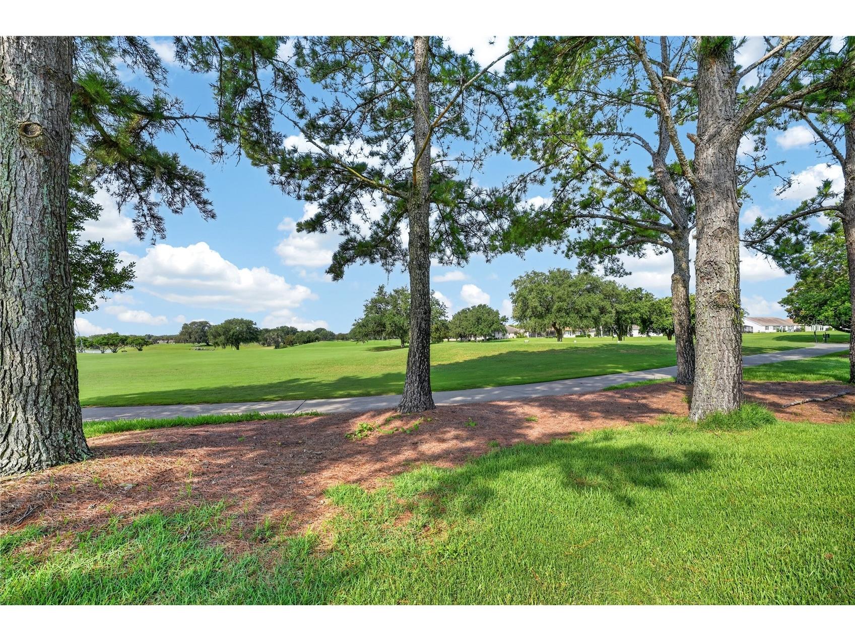 16815 SE 85th Belknap Avenue The Villages FL 32162 G5114170 image97