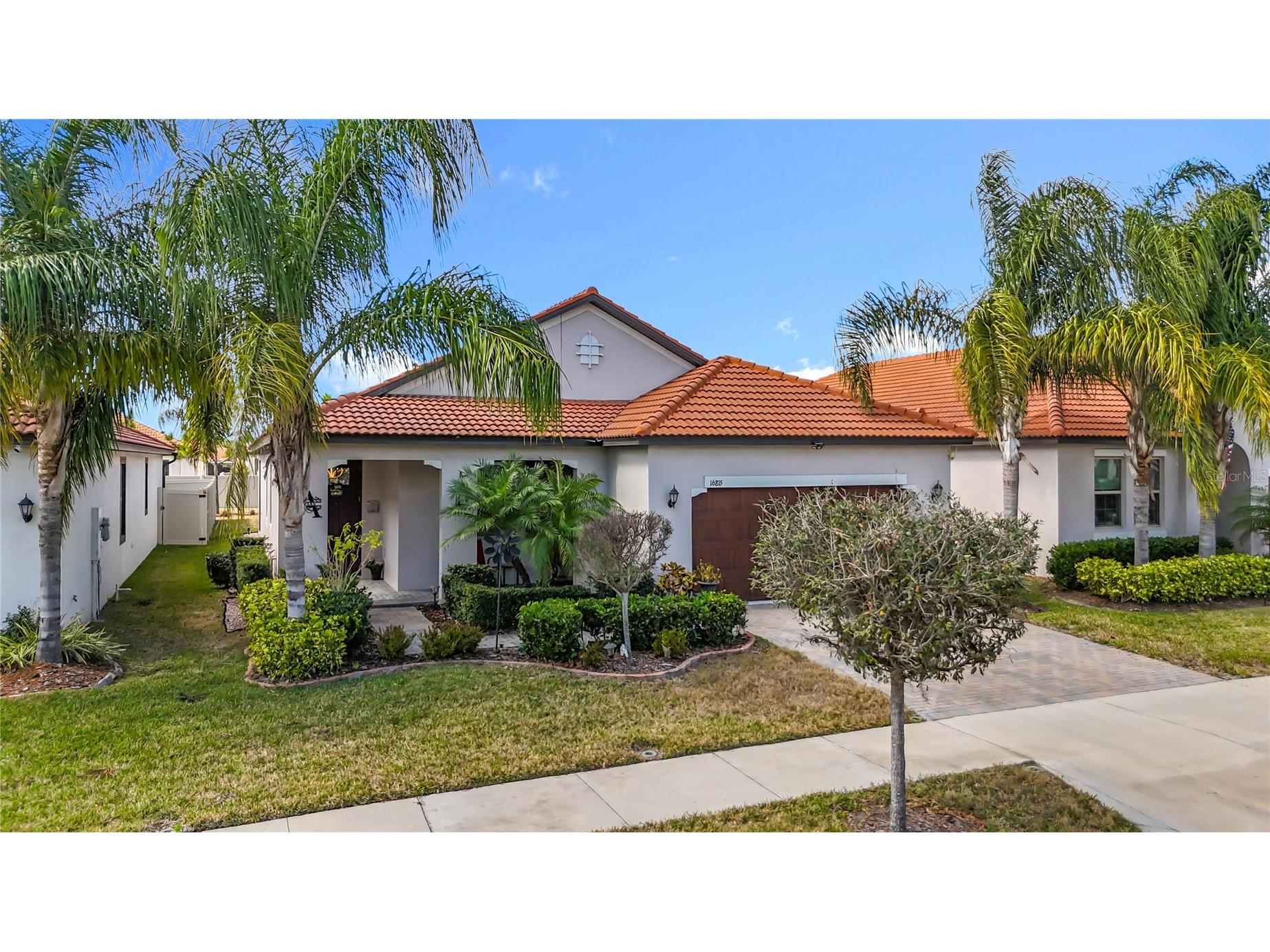 16815 Whisper Elm Street Wimauma FL 33598 TB8479890 image2