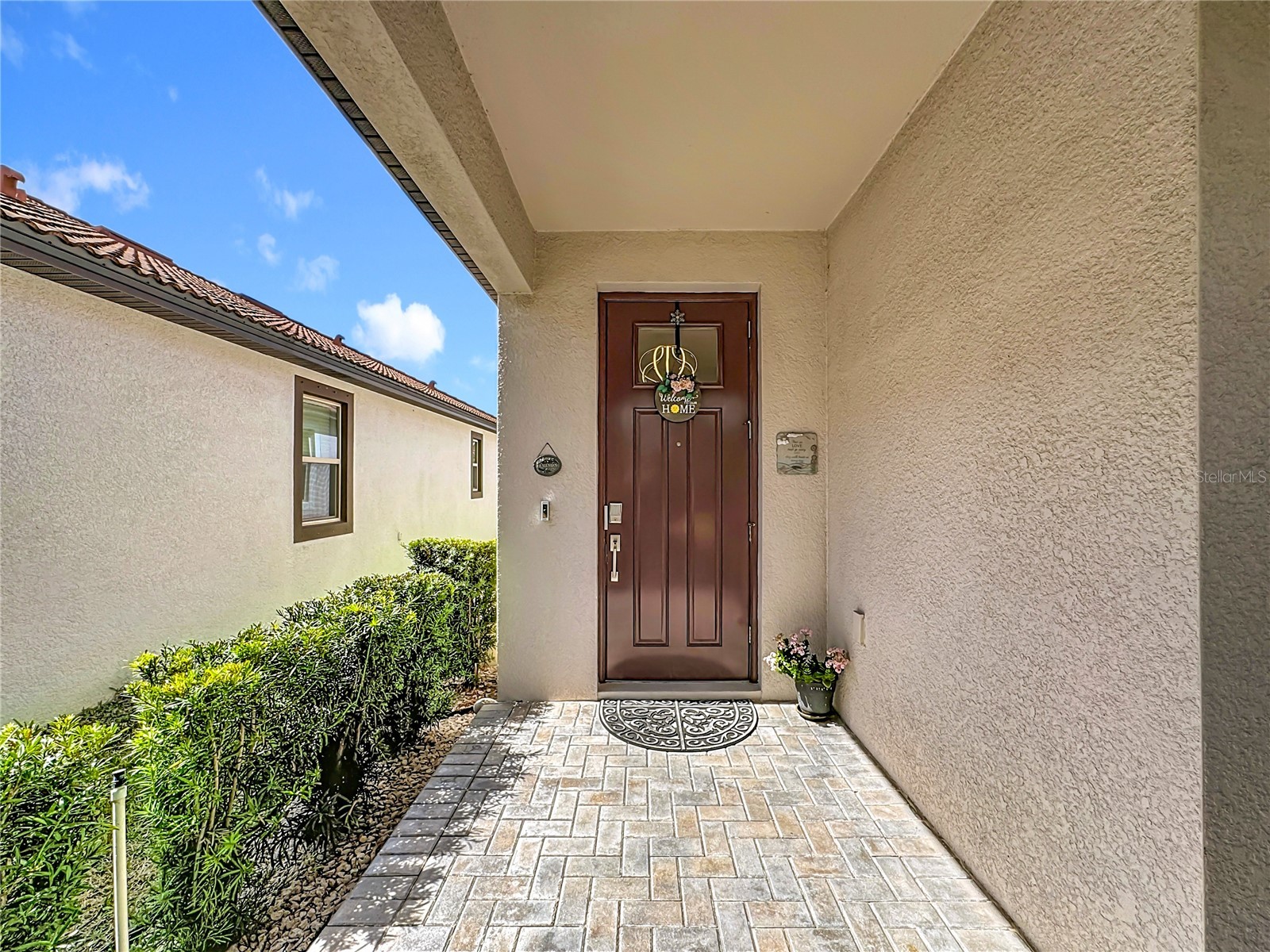 16815 Whisper Elm Street Wimauma FL 33598 TB8479890 image4