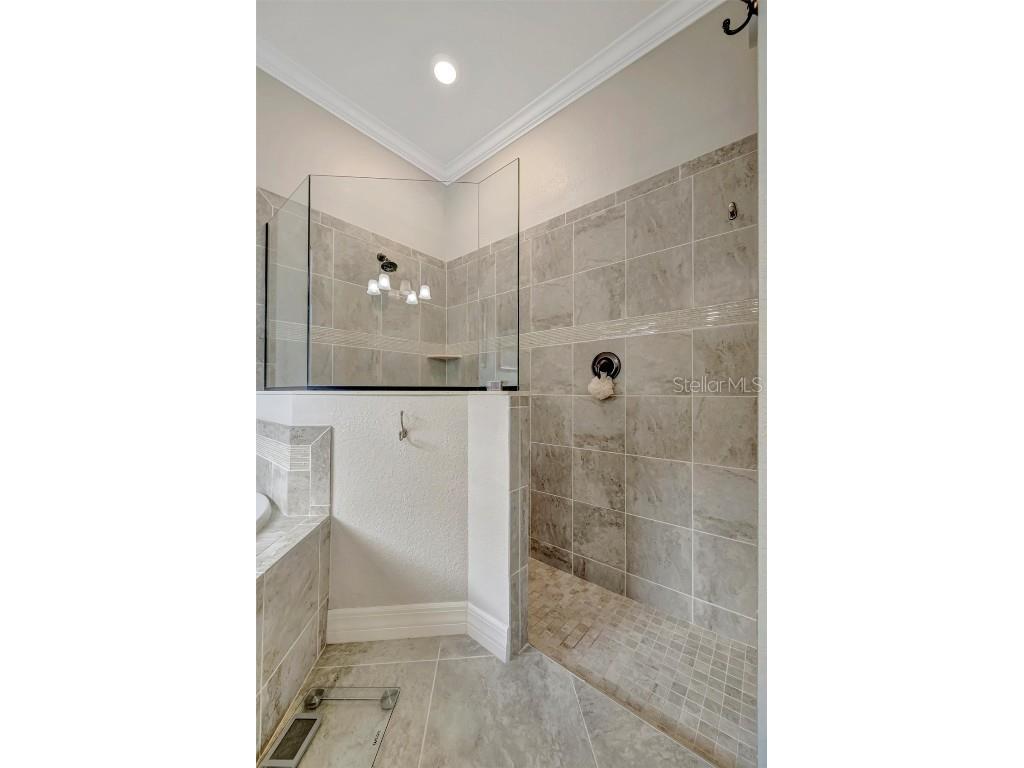 16816 Bwana Place Bradenton FL 34211 A4675920 image53