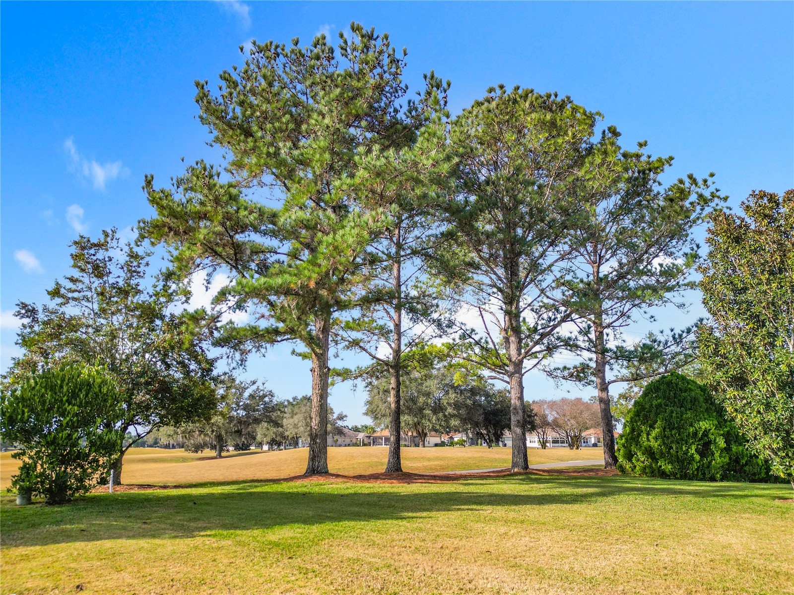16816 SE 85th Sapelo Court The Villages FL 32162 G5106018 image55