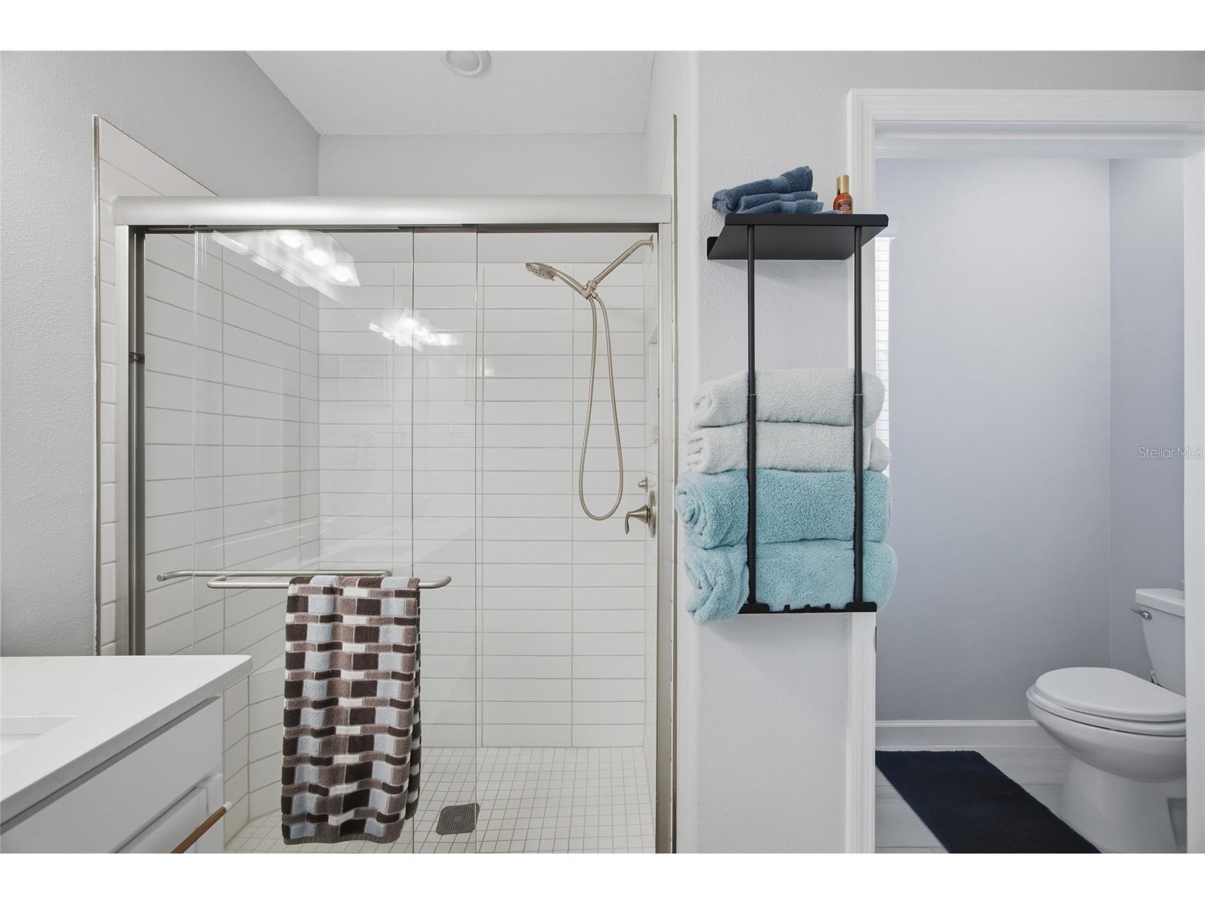 16816 Shell Bay Drive Land O Lakes FL 34638 TB8472233 image18